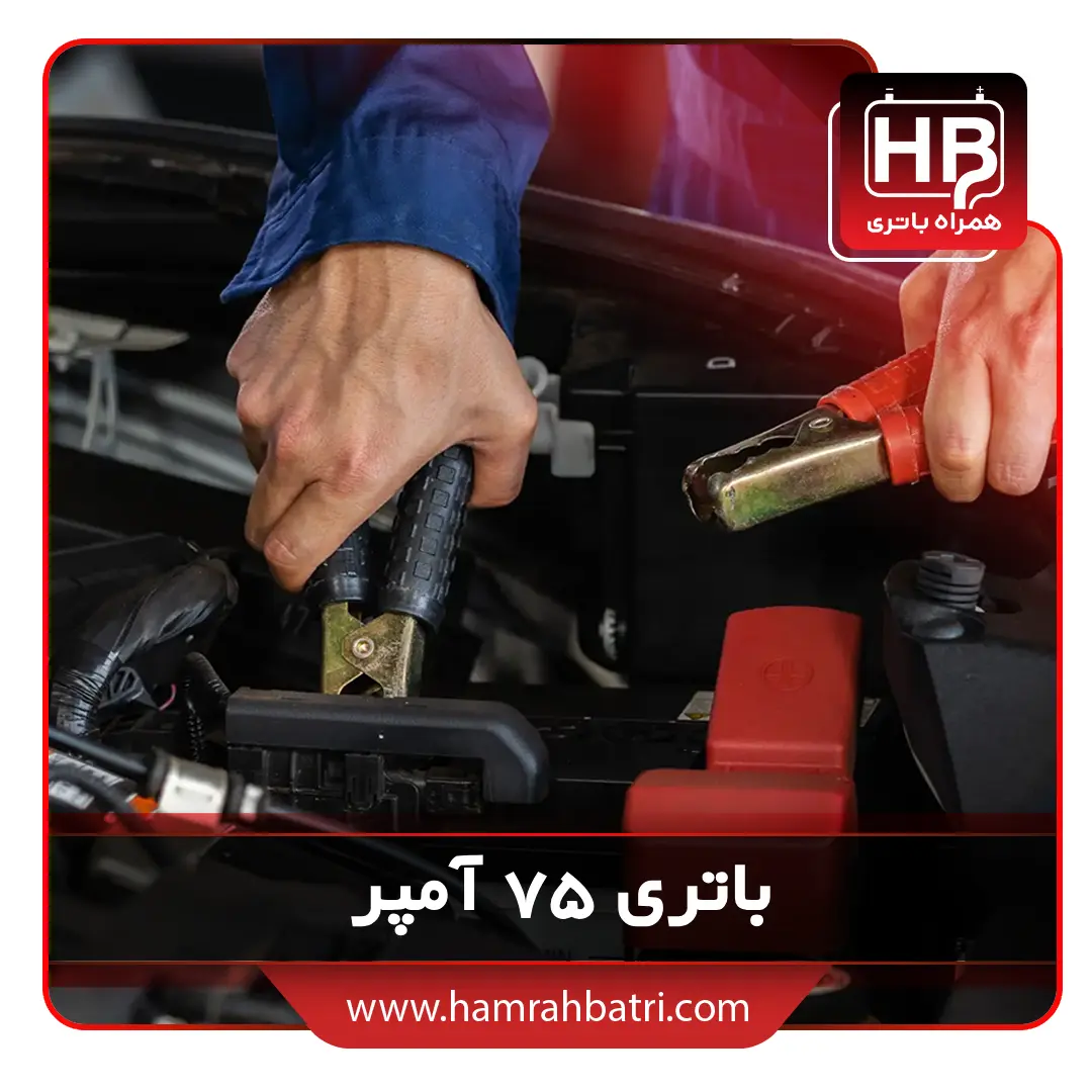 75 Hll_v.webp